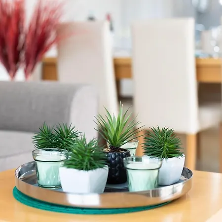 Prime Homes Taoro Attic * プエルト・デ・ラ・クルス